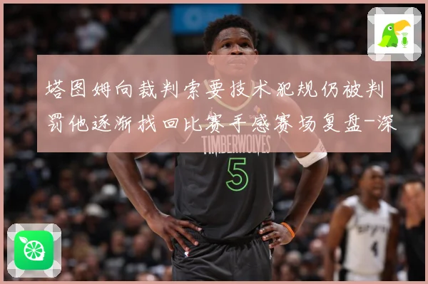 塔图姆向裁判索要技术犯规仍被判罚他逐渐找回比赛手感赛场复盘-深度解析