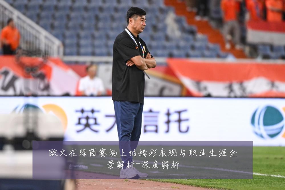 欧文在绿茵赛场上的精彩表现与职业生涯全景解析-深度解析